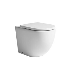 Orbit Back to Wall Pan And Seat